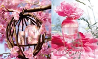L'occitane 欧舒丹